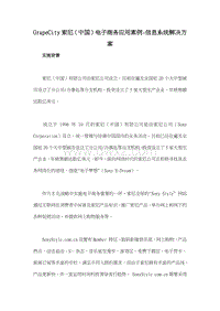 GrapeCity索尼（中国）电子商务应用案例-信息系统解决方案.doc